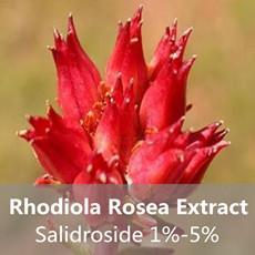 Rhodiola Rosea Extract