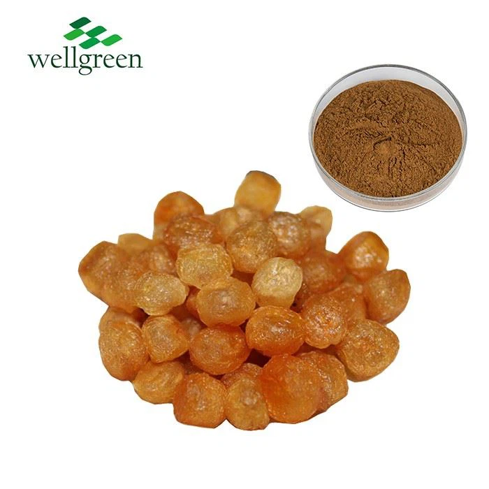Dried Longan Pulp Extract