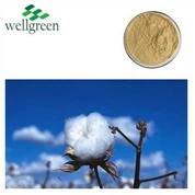 Protein Hadau Cotwm Dephenolized