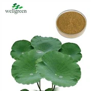 Detholiad Dail Lotus