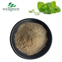 Powdwr Oregano