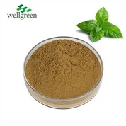 Detholiad Peppermint