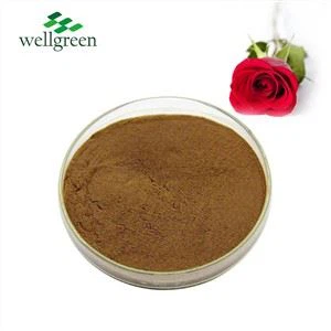 Powdwr Blodau Rhosyn