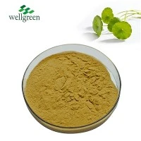 Powdwr Detholiad Centella Asiatica